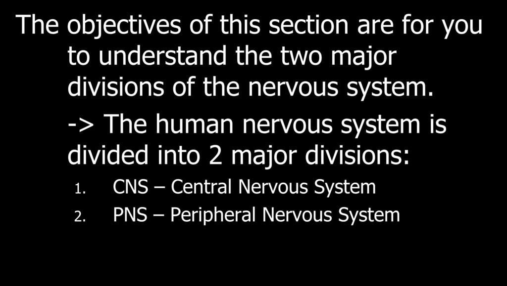 Divisions of the Nervous System The objectives of this section are for you to understand the two major divisions of the nervous