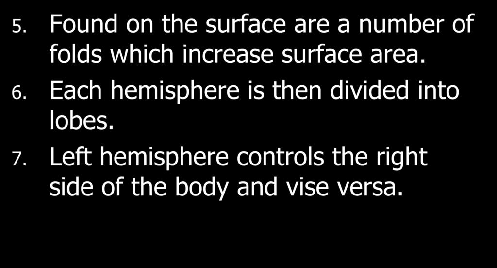 5. Found on the surface are a number of folds