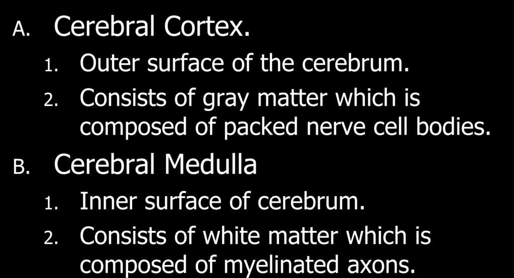IV. The Cerebrum Consists of Two Surfaces A. Cerebral Cortex. 1. Outer surface of the cerebrum. 2.
