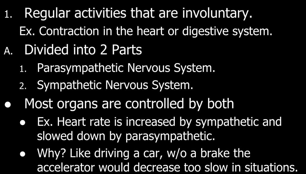 II. The Autonomic Nerve System 1. Regular activities that are involuntary. Ex. Contraction in the heart or digestive system. A. Divided into 2 Parts 1. Parasympathetic Nervous System. 2. Sympathetic Nervous System.