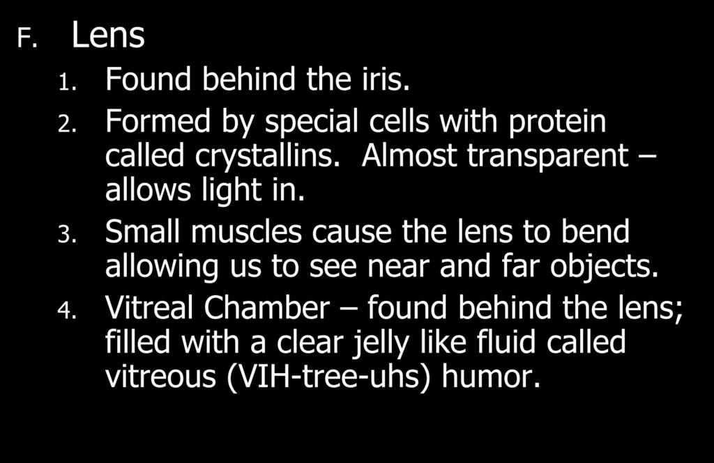 F. Lens 1. Found behind the iris. 2. Formed by special cells with protein called crystallins. Almost transparent allows light in. 3.