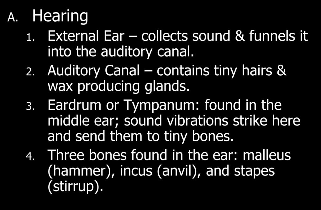 II. Hearing and Balance A. Hearing 1. External Ear collects sound & funnels it into the auditory canal. 2. Auditory Canal contains tiny hairs & wax producing glands. 3.