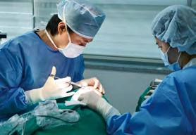 com Main Medical Departments : Customized Health Check-up, Plastic Surgery, Dental Clinic etc #EyeSurgery, #Rhinoplasty, #Auto-fat Injection, #Petite Surgery Jenith Plastic Surgery http://www.jenith.