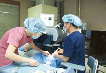 com Main Medical Departments : #LASIK #LASEK #VisionCorrectionSurgery #Cataract #Retina #EyeCosmeticSurgery Balgeun-eye21 Clinic LASIK/LASEK Introduction: No admission is