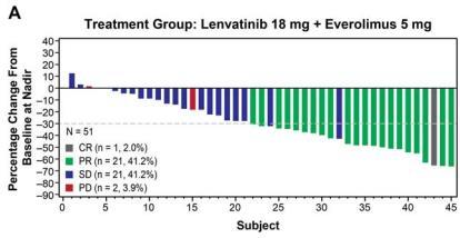 , Lenvatinib, everolimus, and the combination in patients with metastatic renal