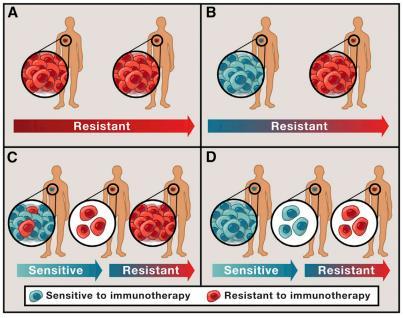PRIMARY, ADAPTIVE, AND ACQUIRED RESISTANCE TO CANCER IMMUNOTHERAPY Reprinted from Cell, 168(4), Sharma P, et al.
