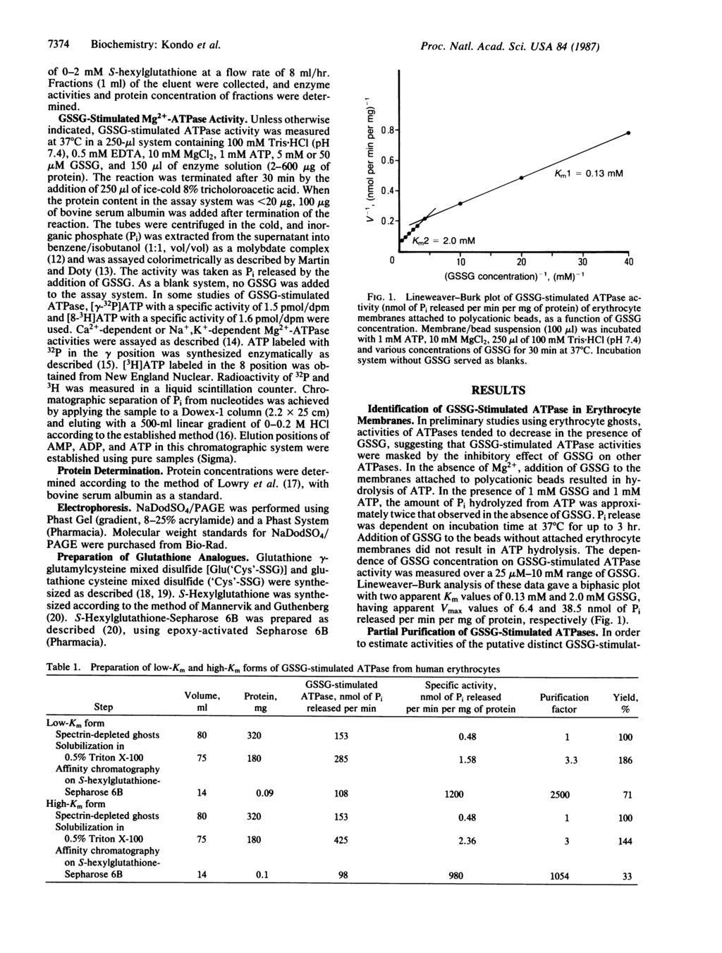 7374 Biochemistry: Kondo et al. Proc. Natl. Acad. Sci. USA 84 (1987) of 0-2 mm S-hexylglutathione at a flow rate of 8 ml/hr.
