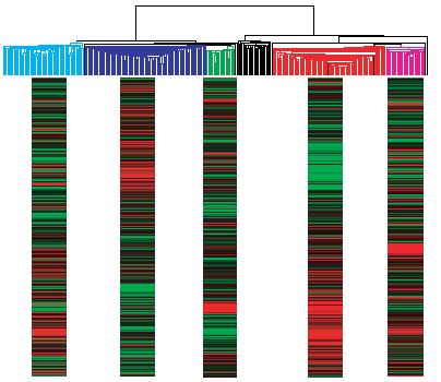 gene lists are heterogeneously expressed in a dataset, for example, in this gene cluster The samples in the left part has about 3/2 genes