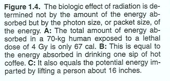 The Biological Effect of Radiation is NOT determined by how much total energy is absorbed, But by HOW it is absorbed and WHERE Source