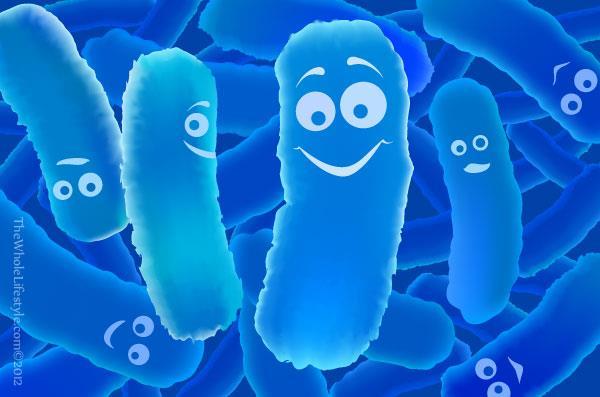 Probiotics and Adrenals A recent study had healthy participants take a probiotic daily or a placebo There were significant improvements in depression, anger, anxiety, as well as lower levels of