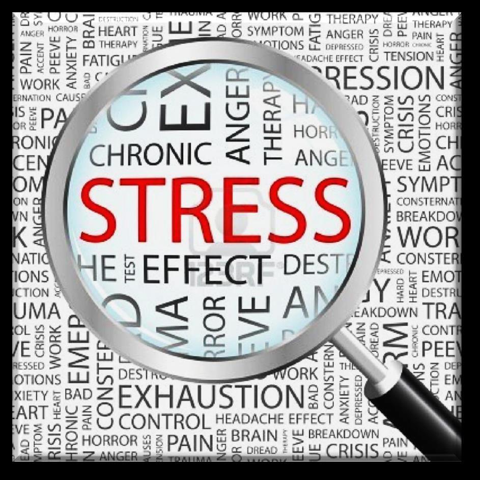 Physical Signs of Stress 1. Pupils dilate 2. Saliva thickens 3. Dry mouth 4.