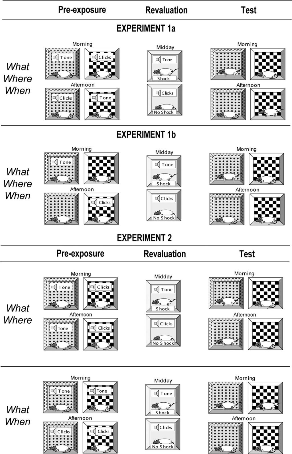 568 IORDANOVA, BURNETT, GOOD, AND HONEY Figure 1. Schematic of experimental designs used in Experiments 1A, 1B, and 2. Each experiment involved three stages (left to right).