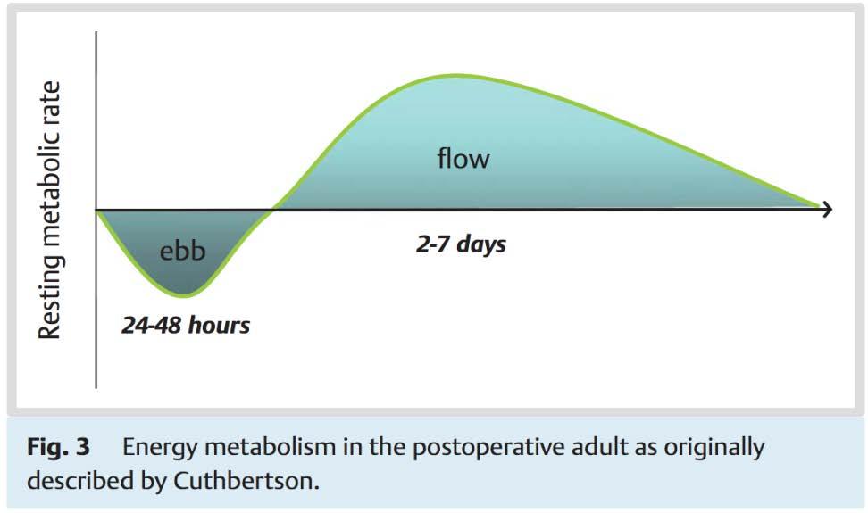 Metabolic Response to Surgery Adults