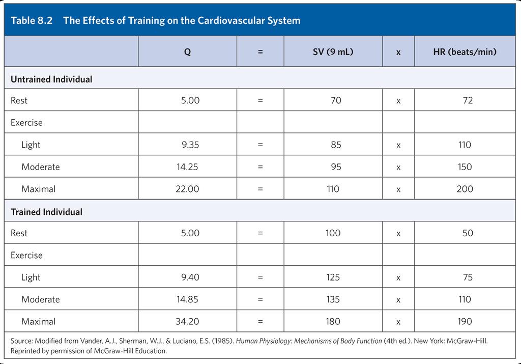 The Cardiovascular Effects of Training