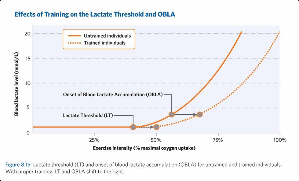 Onset of Blood Lactate Accumulation When lactate levels begin to accumulate rapidly in the blood, this is referred to as the onset of blood