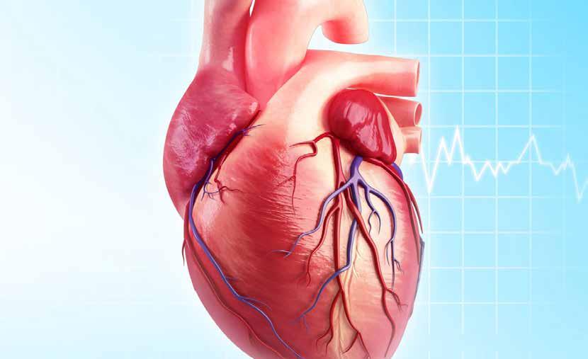 Case Study on Cardiology Research on Cardiology Biomarkers and Enzymes for Heart Disease Obesity and Heart Cardiac Regeneration and Repair Session Chair: Annamaria Vianello, Gabriele Monasterio