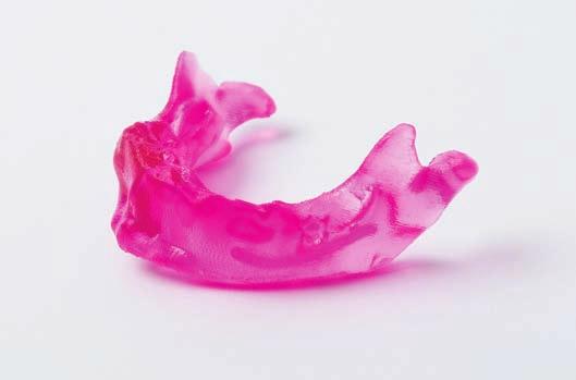 Pediatric, Full Mandible ClearView Model Selective coloration (i.
