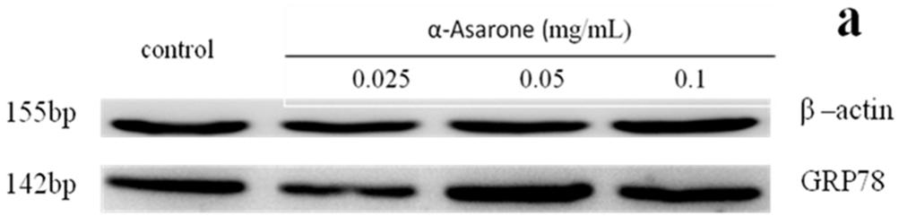 International Journal of Clinical Medicine Research 2018; 5(4): 97-102 100 Table 3. The CT value of α-asarone on the gene expression of caspase-3 in Eca-109 cells.