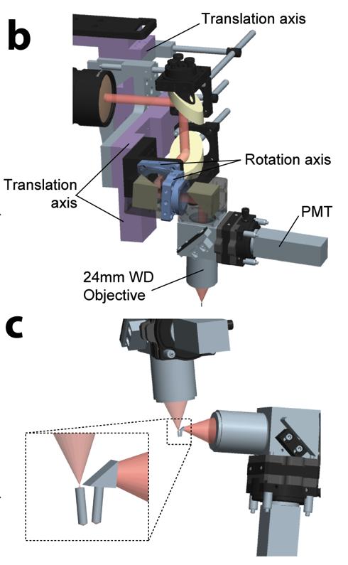 The Duopus is a two-armed microscope that can image two