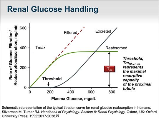 Normally all amino acids and glucose are reabsorbed by the proximal tubule.