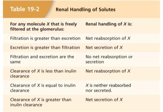 Non-invasive way to measure GFR Inulin and creatinine used to measure GFR A non-invasive way to measure GFR = 00 ml of Inulin concentration is /00 ml.