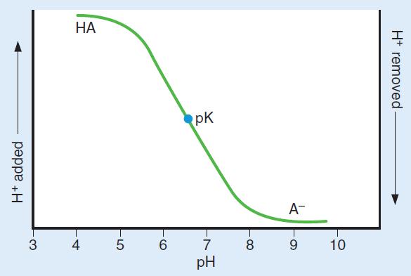 ph of the system is the same as the pk when each of the components (base and acid) constitutes 50% of the total concentration of the buffer system. What is the HendersonHasselbalch equation?