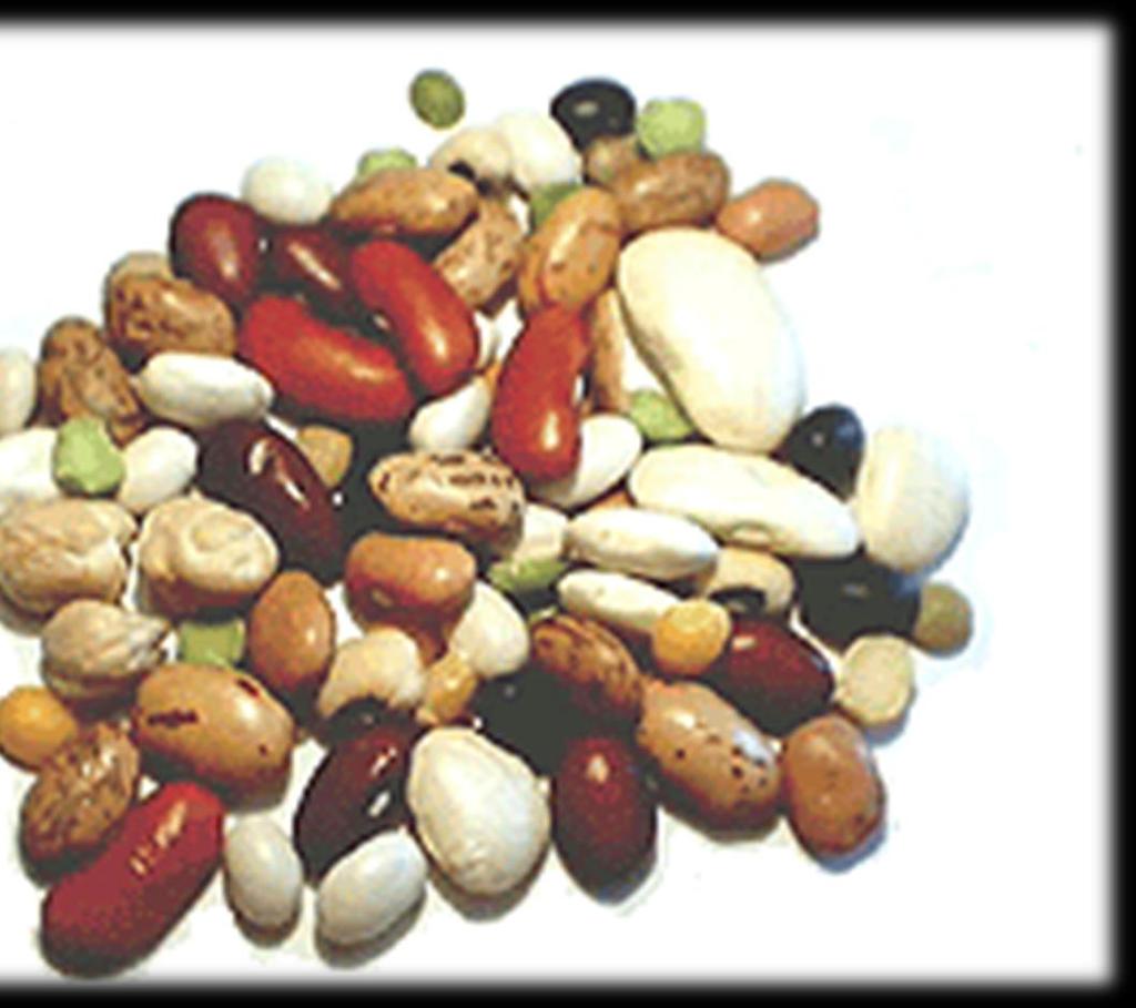 Top Beans Black Kidney