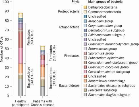 component species vary as a function of position along the gut Diversity reduction in