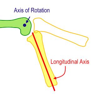 stationary, in reality, each axis of all joints in human body migrates throughout the range of motion because the articular surfaces of the joint are not reciprocally shaped as a perfect sphere