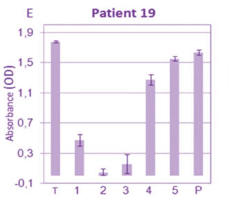 Antibodies of seropositive patients recognize folded Tat 1 10 20 30 40 05 60 70 80 90 10 TatHXB2 MEPVDPRLEPWKHPGSQPKTAC TNCYCKKCCFHCQVCF ITKALGISYGR KKRRQRRRAHQ NSQTHQA SLSKQ P TSQPRGD - PTGPKE -