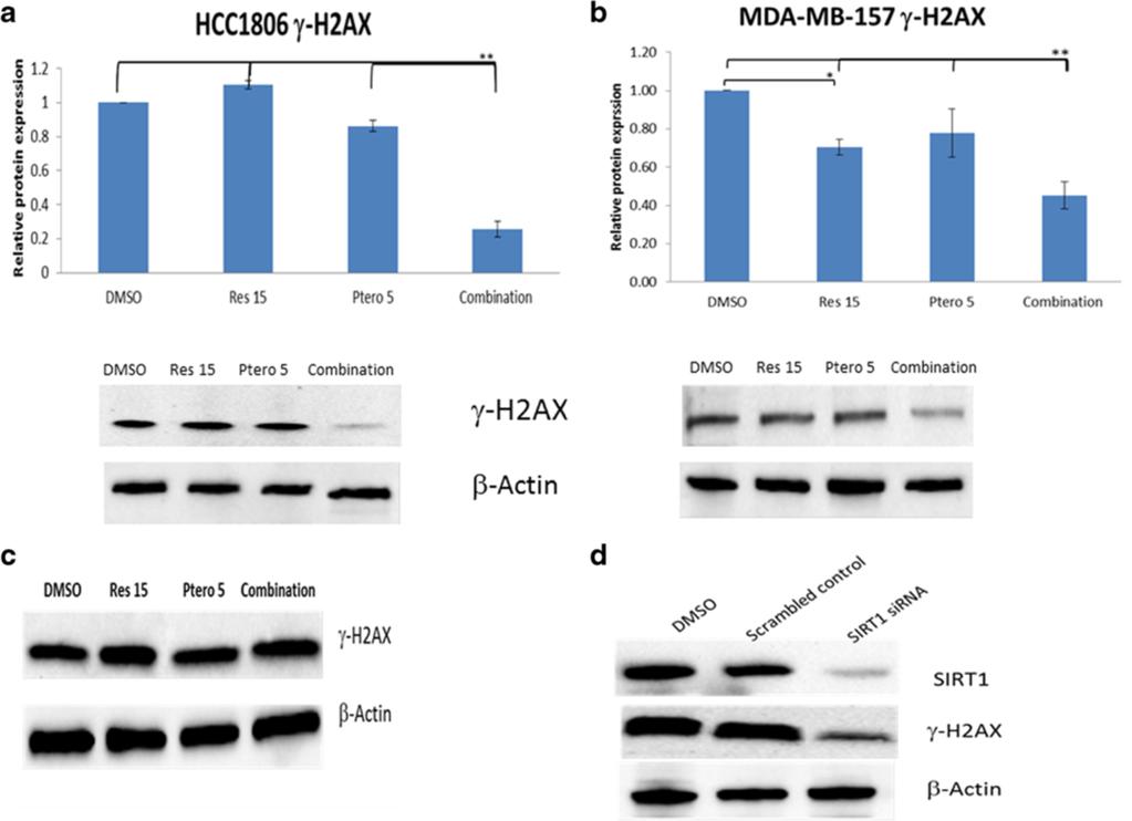 Kala et al. BMC Cancer (2015) 15:672 Page 9 of 18 Fig. 6 Resveratrol and pterostilbene effects on γ-h2ax expression.
