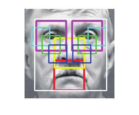 2 Ting LIU et al. (a) 12 local face regions. (b) 8 groups local face regions. Fig. 1. Facial component location. learning has achieved state-of-the-art results in the field of computer vision.