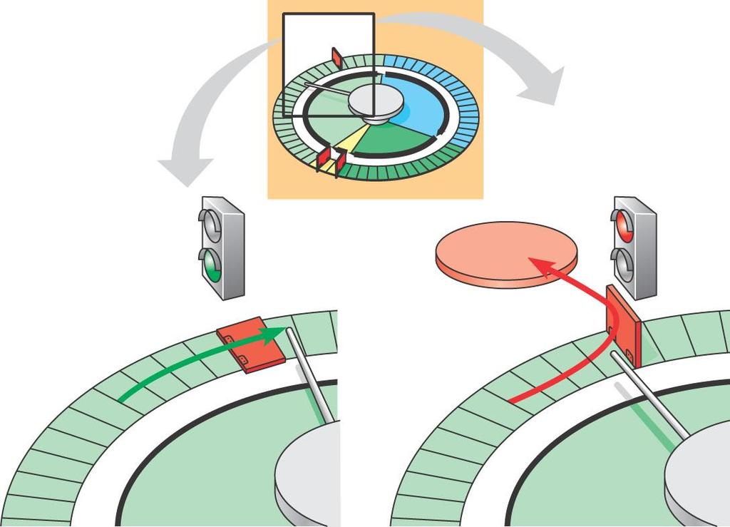 Where cell cycle stops until it receives the go ahead signal G 0 G 1 checkpoint G 1 G 1 Figure 12.