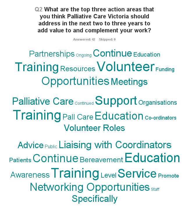 Question 2: What are top three action areas that you think Palliative Care Victoria should address in the next two to three years to add value to and complement your work?