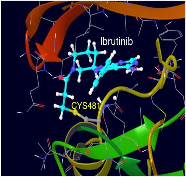 Plasma Concentration (ng/ml) Btk Active-Site Occupancy Ibrutinib: A potent BTK inhibitor 13/06/2013 Ibrutinib (PCI-32765) forms a bond with cysteine-481 in BTK Highly potent BTK inhibition at IC 50 =