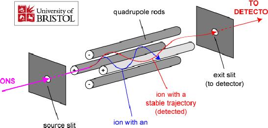 Ions are separated in a quadrupole