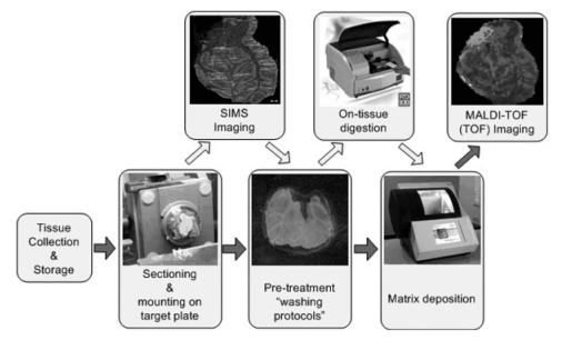 Key steps in tissue imaging Kaletas