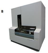prikazanoj klasičnoj gel-elektroforezi. Pošto su u PCR reakciji korišćeni fluorescentno obleženi prajmeri, amplifikati cdnk mogu da se detektuju kada naiđu na laserski zrak u ABI analizatoru.