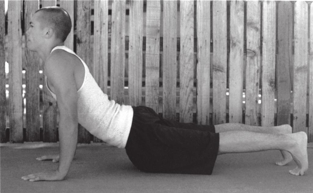 Upward Dog Pose Start in a lying down position, facing the floor (lying on your stomach). Bring your hands under your shoulders, with palms flat and fingers forward and opened wide.