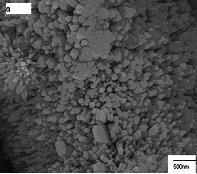 Zinc Oxide Nanoparticles Prepared by the Reaction of Zinc Metal with Ethanol 63 Zinc oxide nanorods could be prepared by the addition of 2 ml ethylenediamine to a mixture of 10 mg of zinc metal