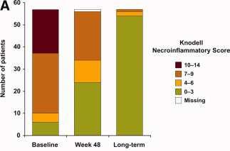 Long-Term Histology Results on Entecavir (HBeAg+