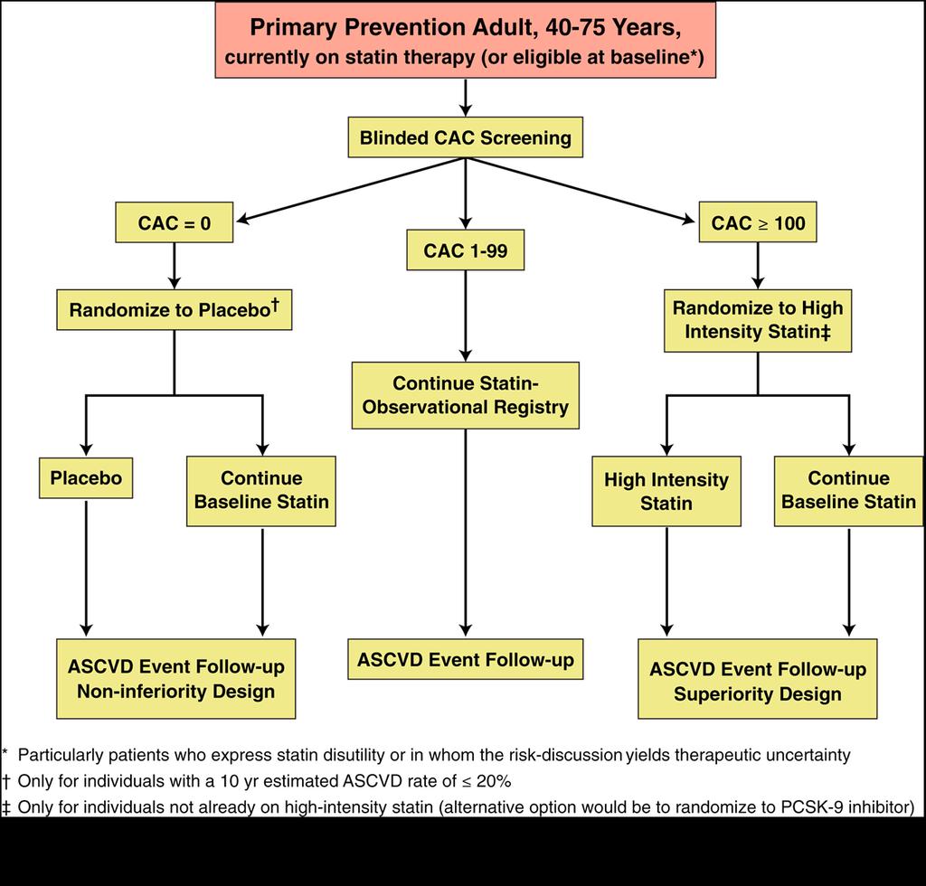 McEvoy, et al. JACC CV Img. 2016;9(8):994-1002. A CAC-based Approach to Primary Prevention Lifelong statin therapy in primary prevention can be intimidating for patients.