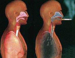 STOP smoking!