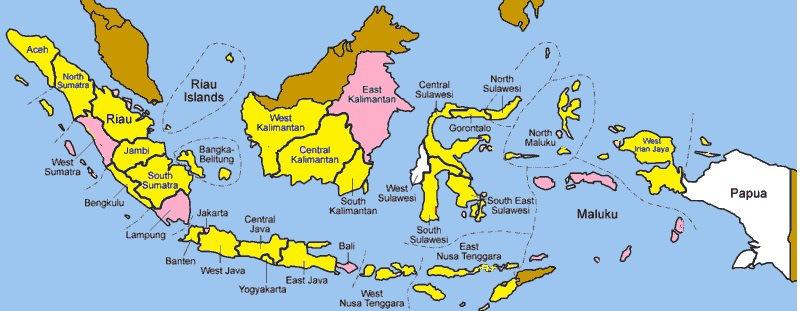INDONESIAN CITIES MAYORS