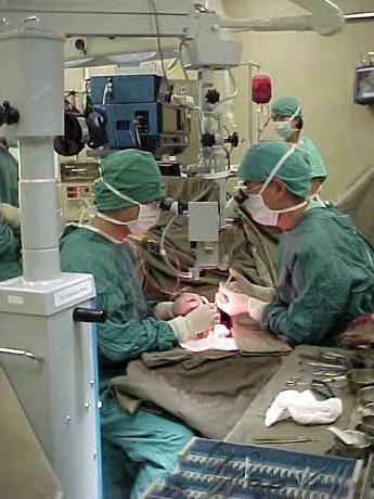 Surgery: Microsurgery Neurolysis