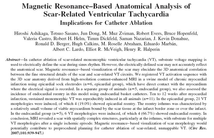 Magnetic Resonance Based Anatomical Analysis of Scar-Related