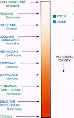 Lidocaine is intrinsically one of the least toxic LA drugs Only lidocaine has been