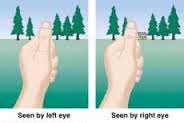 Each eye looks at an object from a slightly position relative to the other eye.