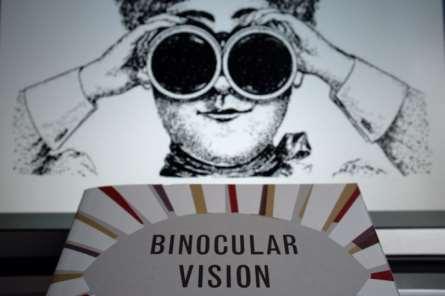 Binocular Image The two images are merged by the brain into one image by fusing them together.