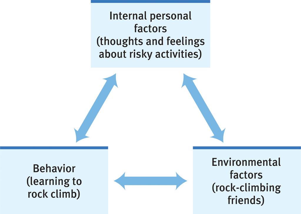 SOCIAL-COGNITIVE THEORIES Social-Cognitive Perspective and individuals' traits (personality) and thoughts (cognitive) interact with the environment (social)